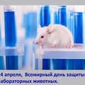 24 Апреля - Всемирный День Защиты Животных.jpg