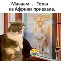 IMG 20241001 190402.jpg