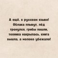 IMG-20231003-WA0093.jpg