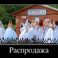 20162161039240.jpg