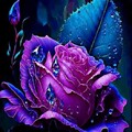 757791c0914b23d59943769f3147e3b6.jpg