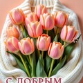 С Добрым Утром.jpg