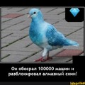 a43e1c19-4ae6-4391-a77c-14326e7bf804.jpg