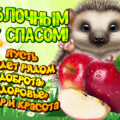 1724032936730 WXaqu.gif