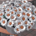 62bcd9e641f25b8a3375f6d803fdb0f9.jpg