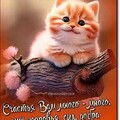 Хорошего Дня.jpg