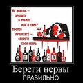 b49bb559-c3b1-4cd9-8182-9a3e9a699d5b.jpg