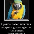 e633c748-043b-4768-b91a-3dfd86e1706f.jpg