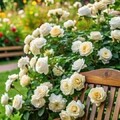 8231c7b4ff0d143ed19cb6002c264e40.jpg