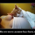 IMG 20181213 050212 854.jpg