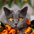 f7bde4da924b5edb03caa622d8911a7b.jpg