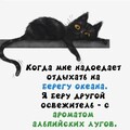 dfe09116d12b6ced91b57297bcadab59.jpg