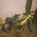 IMG 20250420 030853.jpg