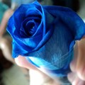i(20).jpg