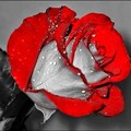 f25fbb0c-9c46-4cef-a8a7-b3dcadc18559.jpg