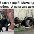 808c20a08d040760165a5257d42db85a.jpg