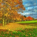979f2f3e746f438e452bda0e7ba2aea8.jpg