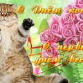 1 Марта С Днём Кошек !.jpg