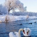 image - 2020-12-17T231036 580.jpg