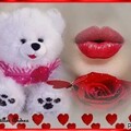 i iddf6ad34ab1bc862c6557f2d0b25a9c2a-5238557-images-thumbs n13 q60.jpg
