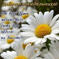 Доброго Понедельника.jpg