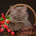 FB IMG 15795781872343417.jpg