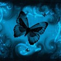 0c0ef6adea470a563021105327edc212.jpg