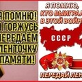 998182eb-dd84-4944-9304-acb8461fe81c.jpg