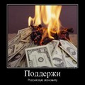 d9bff7441adf7dd78ecb3243191c4fb2 98448.jpg