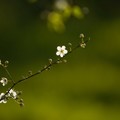 Wallpaper 0566.jpg
