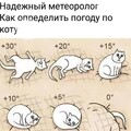 ece89b68f347b7d524952e394a9c621dd0c9eca0d6cc67fd3d2eb82b6708cf9b 1 jpg 1.jpg