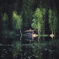 file 98970396-world79 spcs bio.jpg