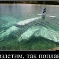edc5b20f-1c9e-4fdf-a615-48f7b1ef889d.jpg