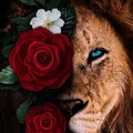 97bb77508d22ae8663708c7e05337a12.jpg