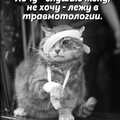 04f44bc9fa180bcc8294eb05f8f319d6.jpg