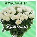 Катюше.jpg