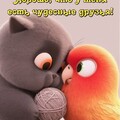 35ad79f58ec7d352465990f242da7a68.jpg