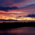 2010.jpg