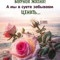 Доброго Утра.jpg