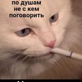1602551377902.jpg