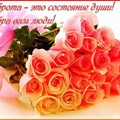Доброта.jpg