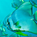 32762_1600x1200_wallpaper_cb1299506505.jpg
