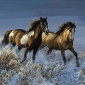 C Data Users DefApps AppData INTERNETEXPLORER Temp Saved Images 78192812 f 600 600 0.jpg