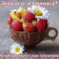 Вторник.jpg