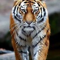 a79bc980dfd97bc0a36df1d898f2bc3b.jpg