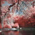 river of dreams.jpg