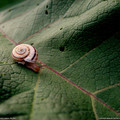 31793_1600x1200_wallpaper_cb1296508437.jpg