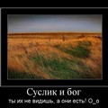 20180411 090813.jpg