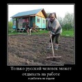 demo-08.jpg