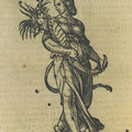 fortuna-1.jpg